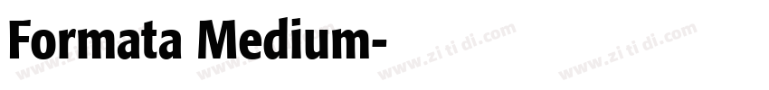 Formata Medium字体转换